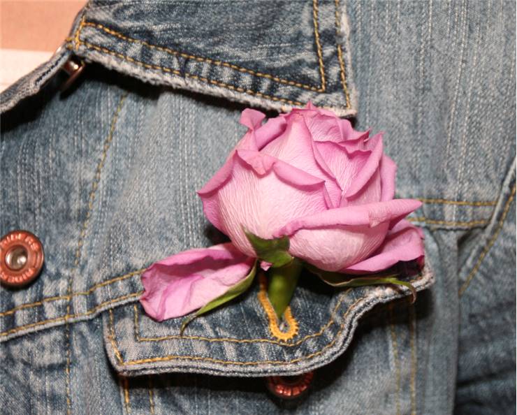 Jeans And Rose